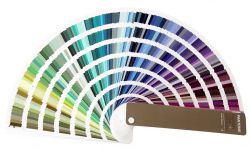 Pantone Fashion Home+Interiors 2