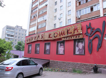 «Черная кошка»