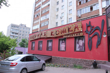 «Черная кошка»