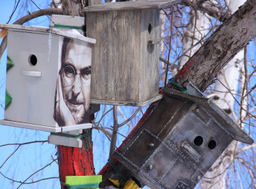«Скворечники»